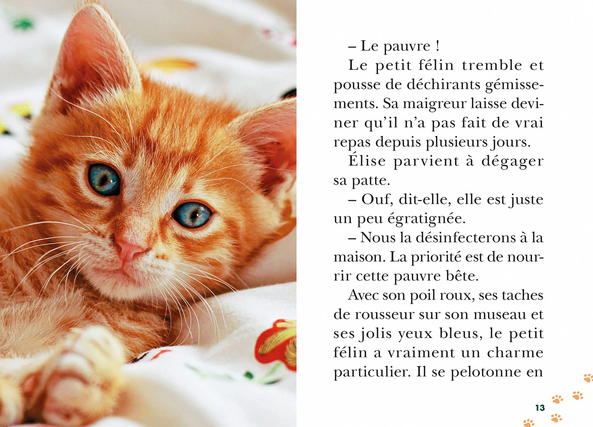 Image du produit 10