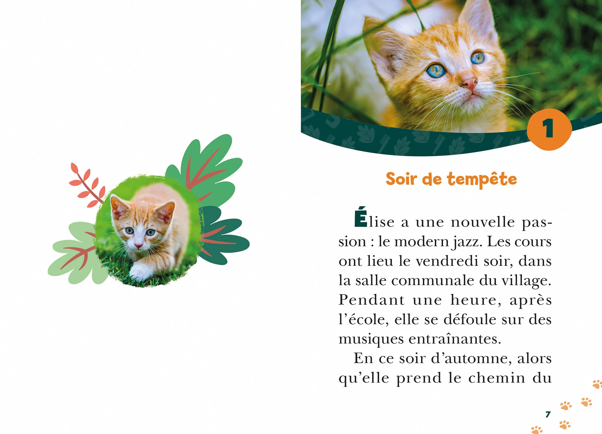 Image du produit 9