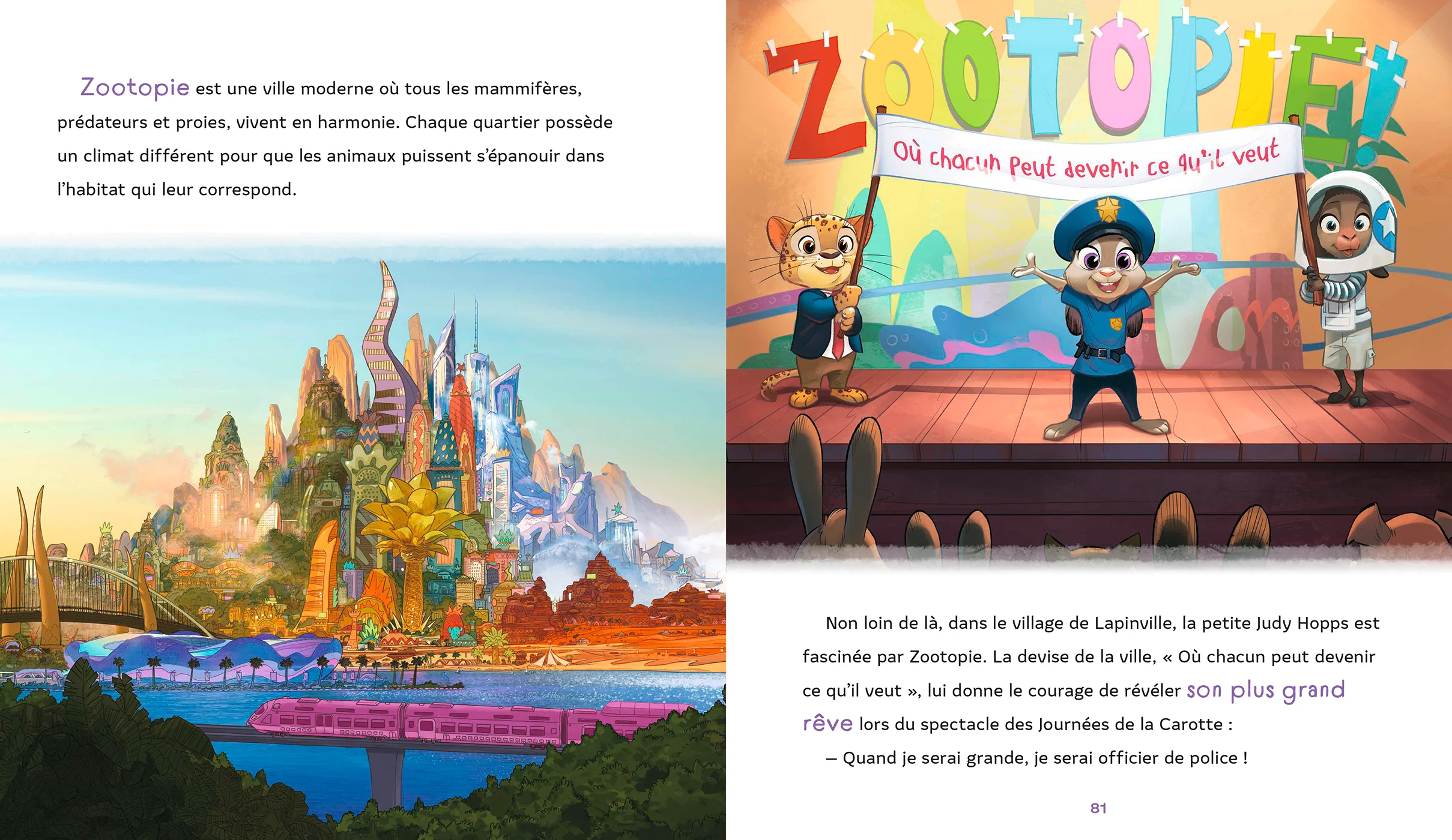 Image du produit 17