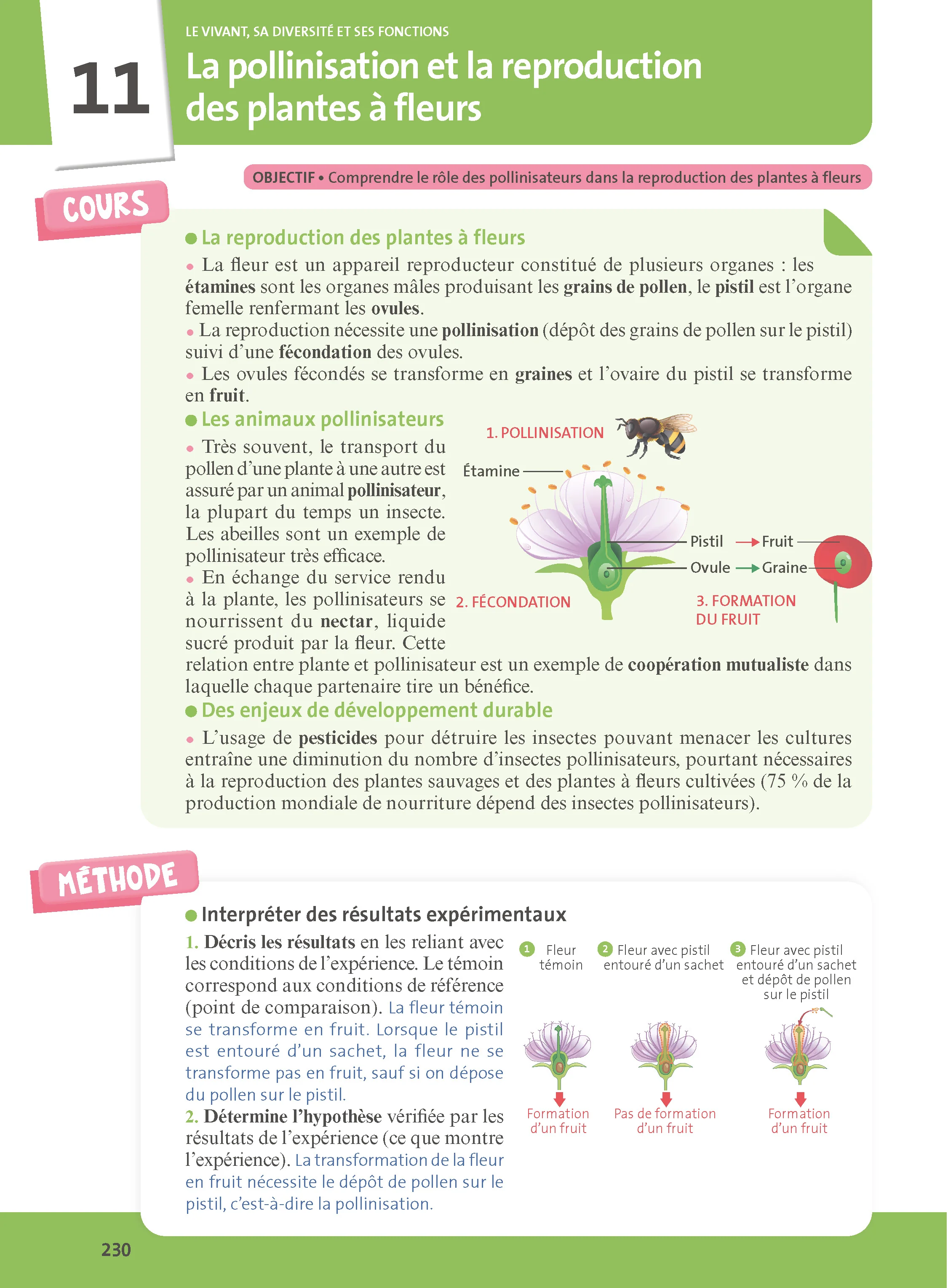Image du produit 18