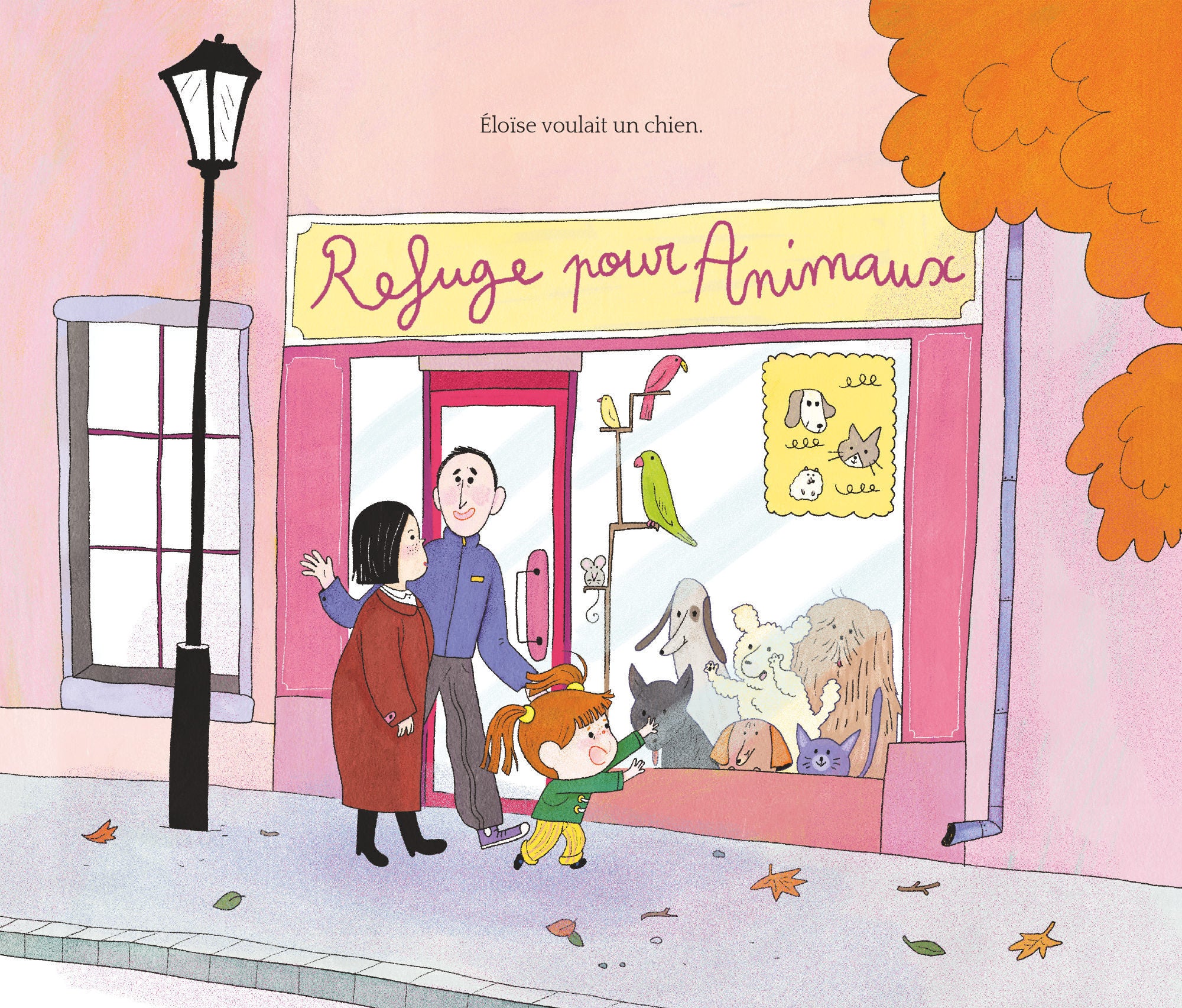 Image du produit 12