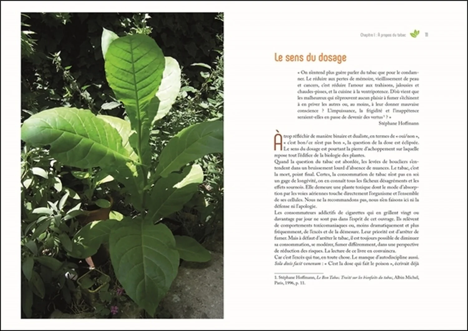 Image du produit 23