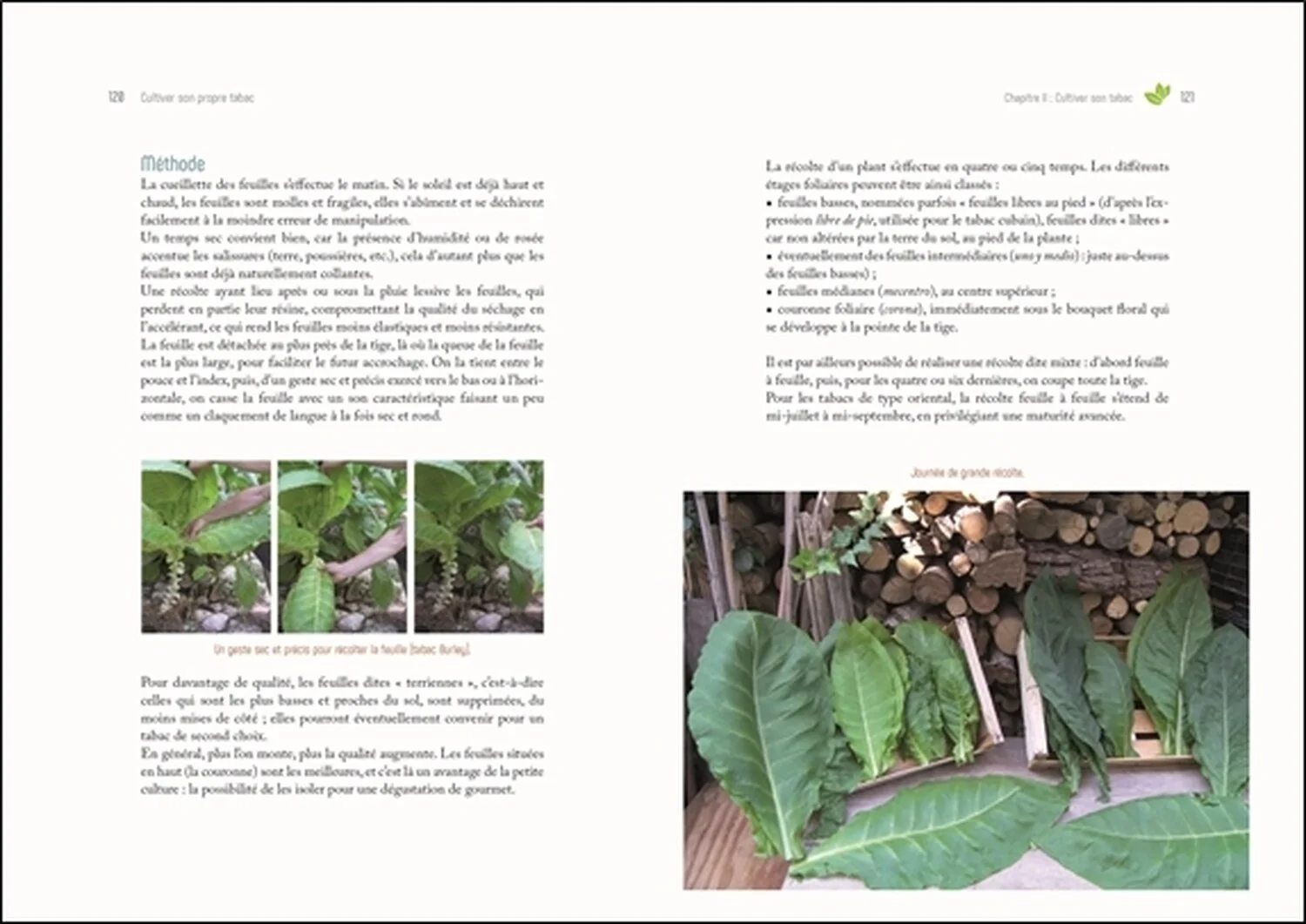 Image du produit 79
