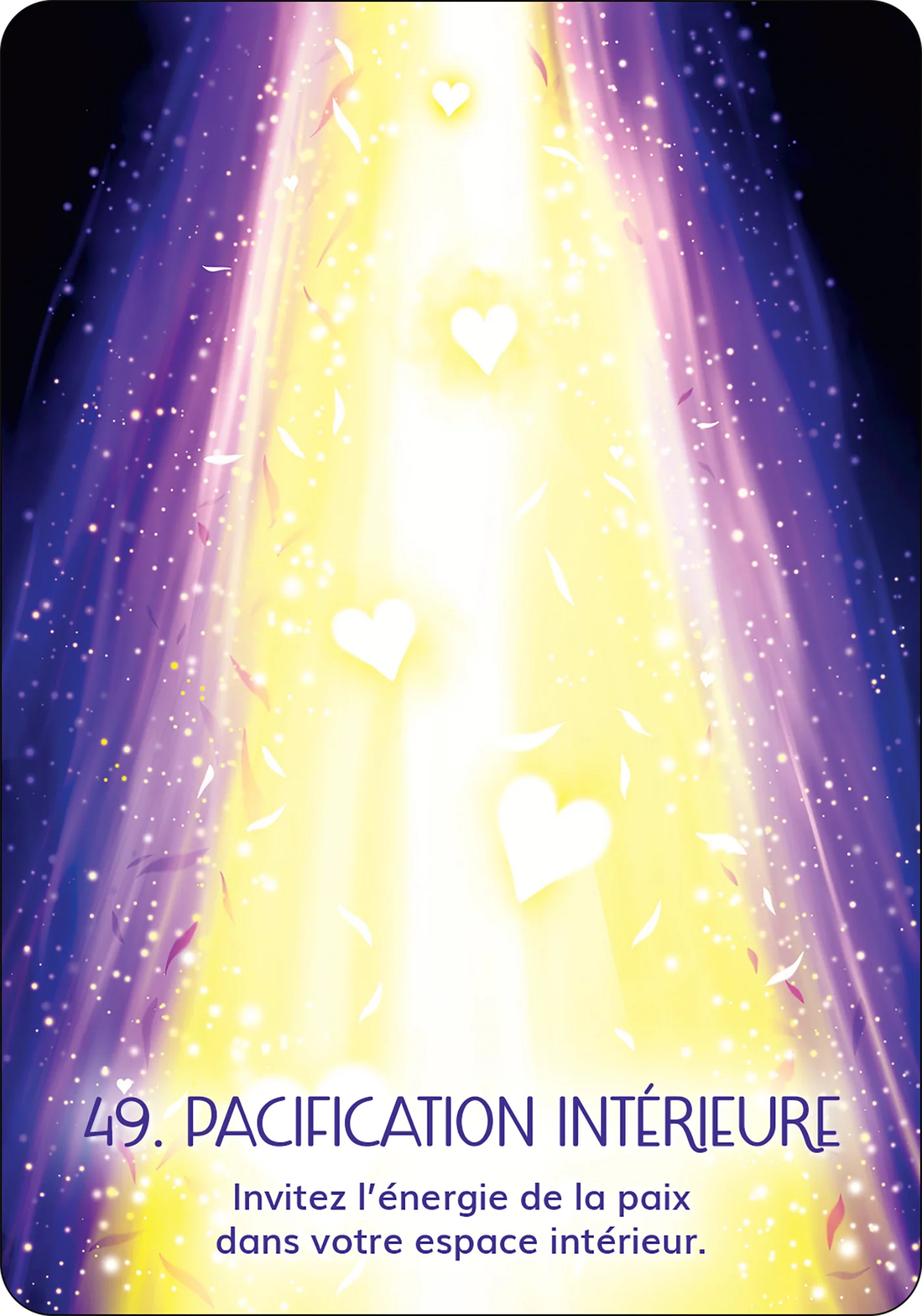 Image du produit 81