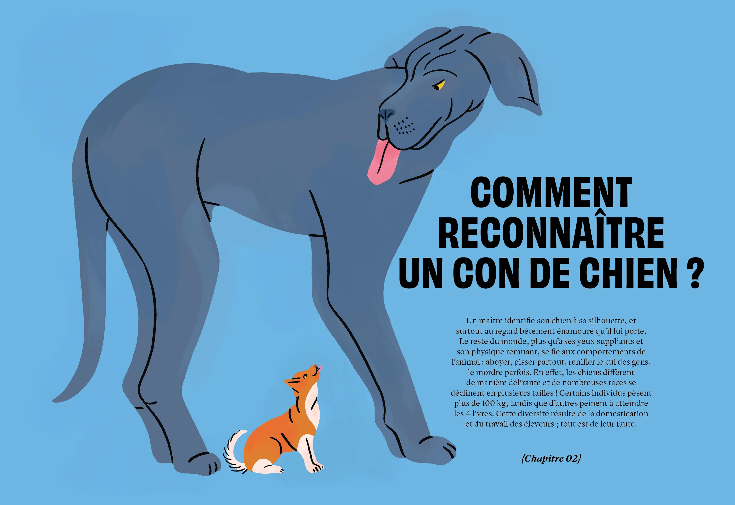 Image du produit 14