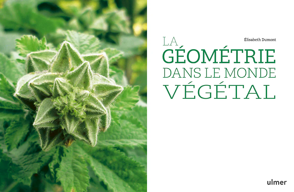Image du produit 11