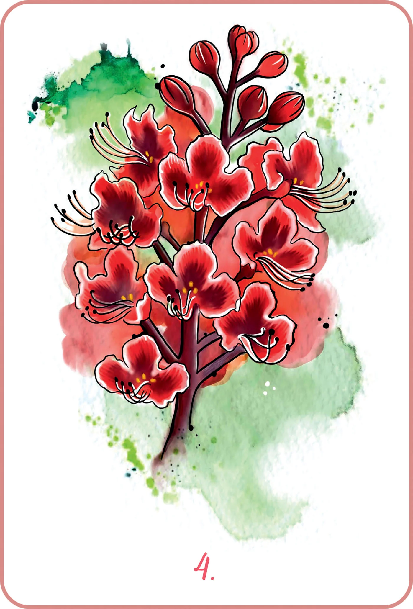 Image du produit 17