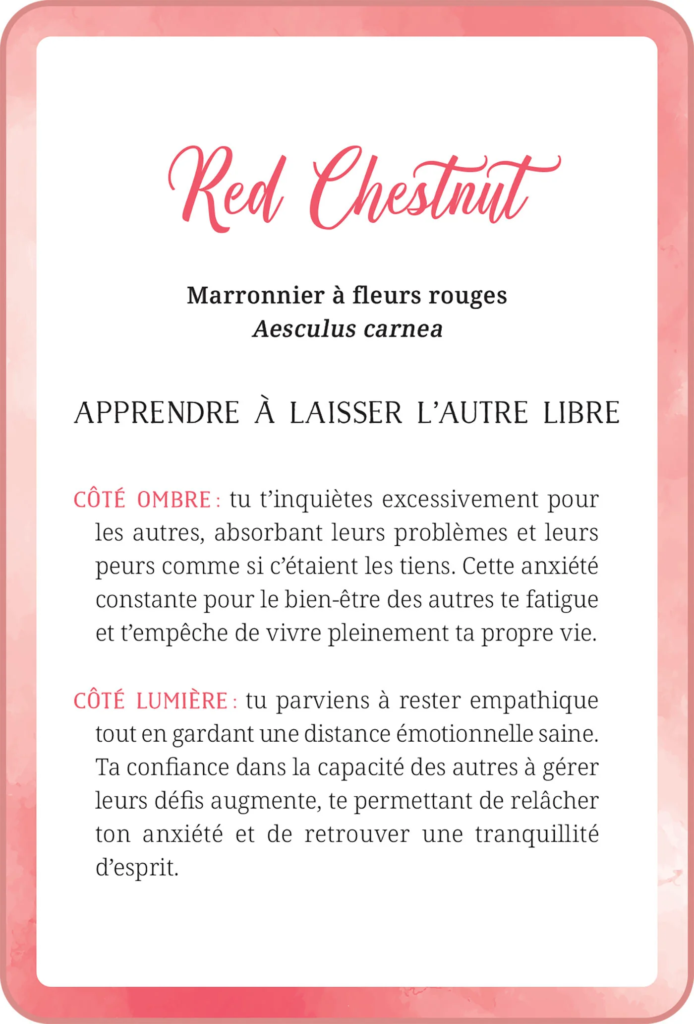 Image du produit 18