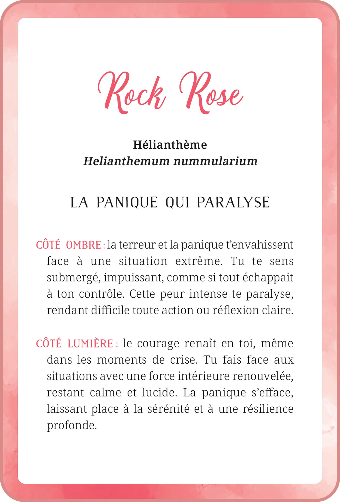 Image du produit 20