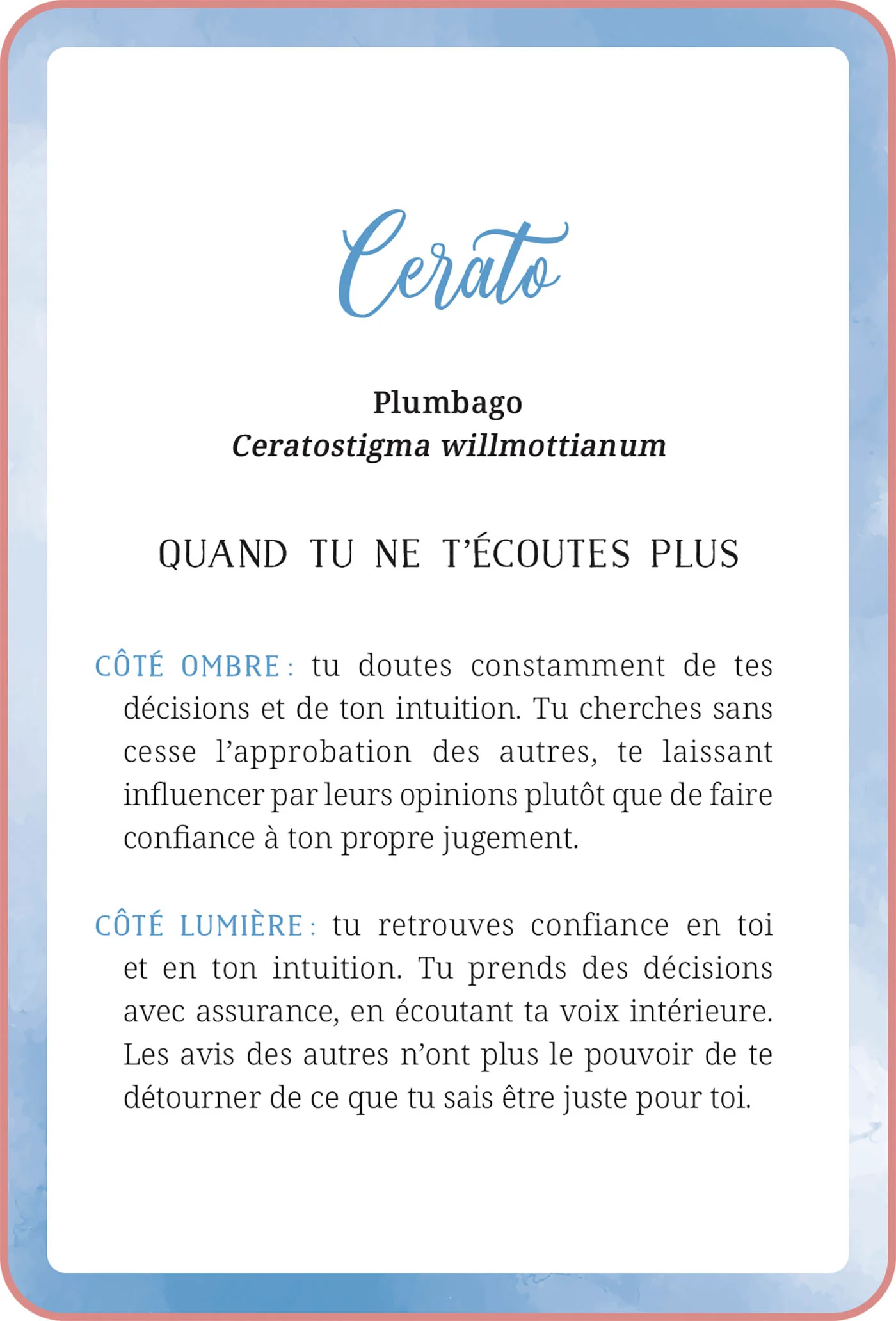 Image du produit 22