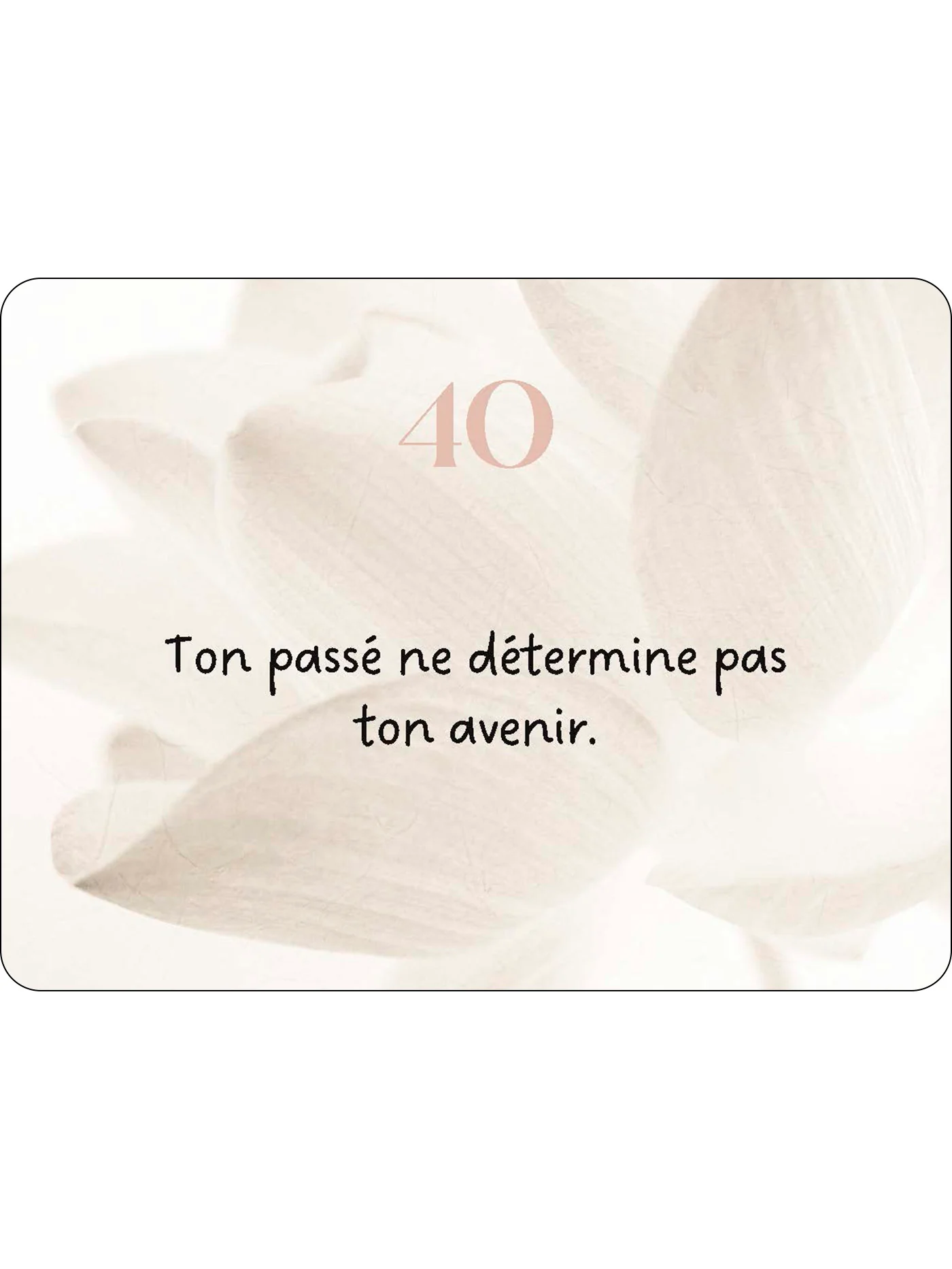 Image du produit 145