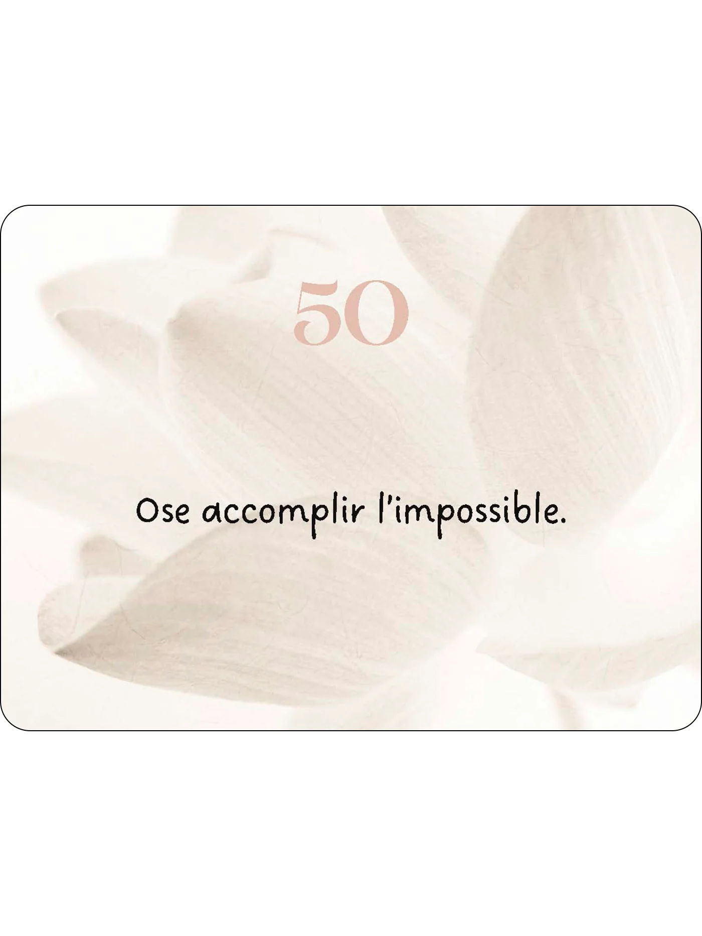 Image du produit 41