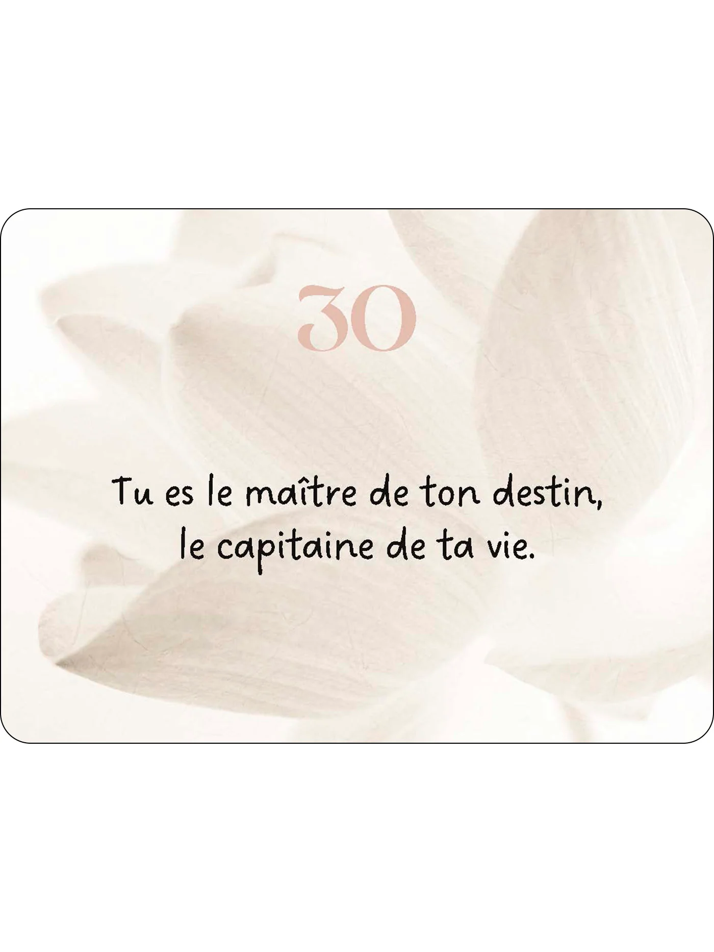 Image du produit 60