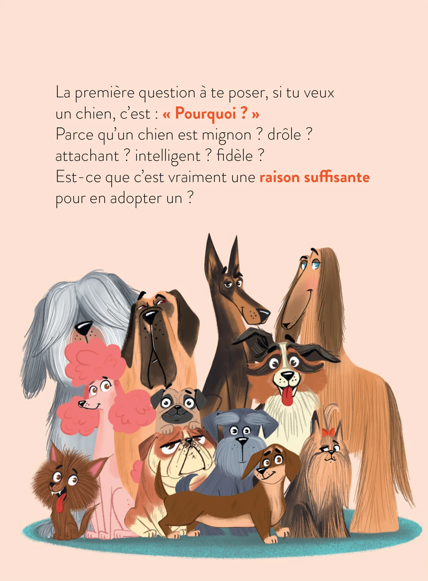 Image du produit 17