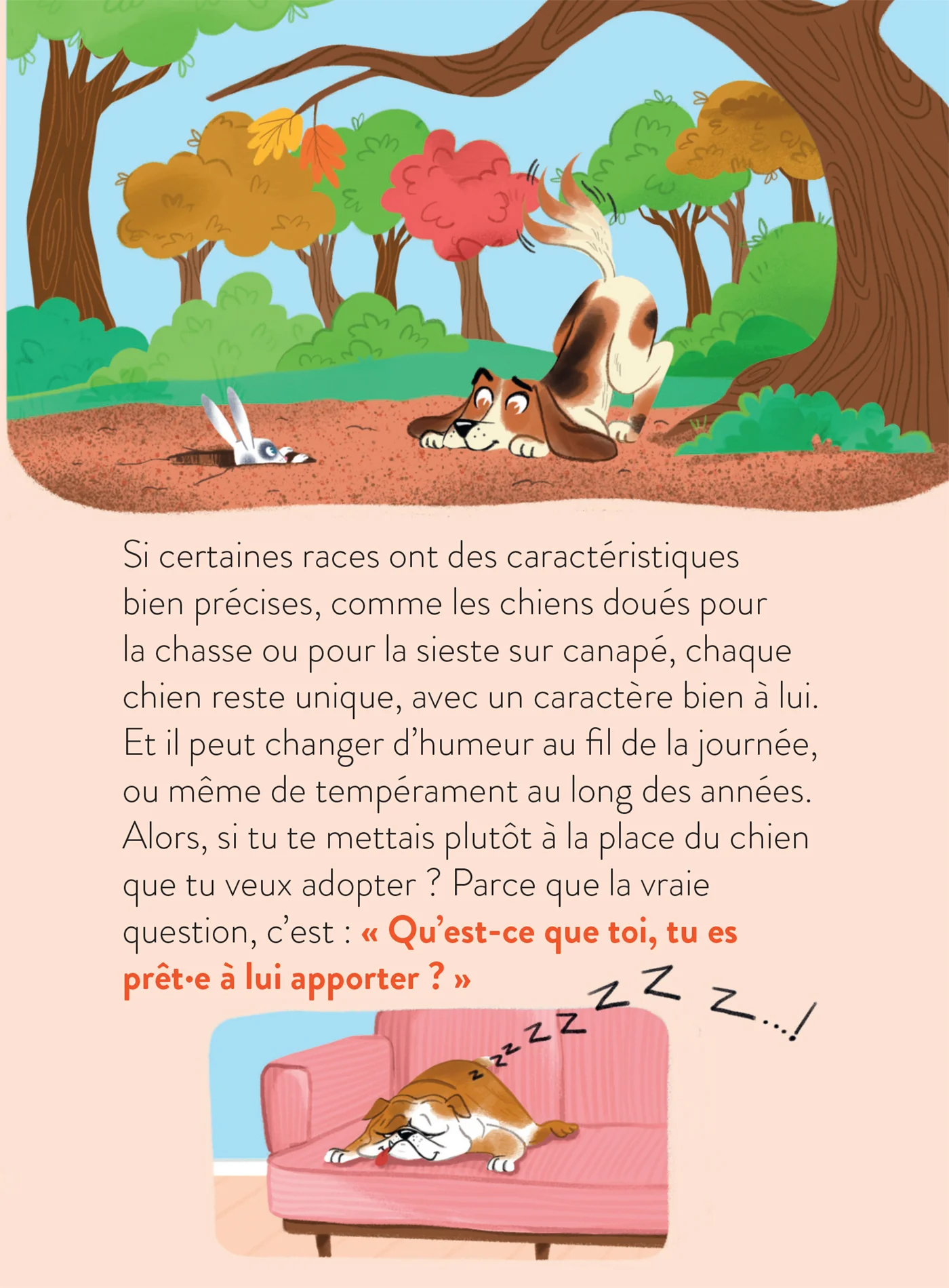 Image du produit 29