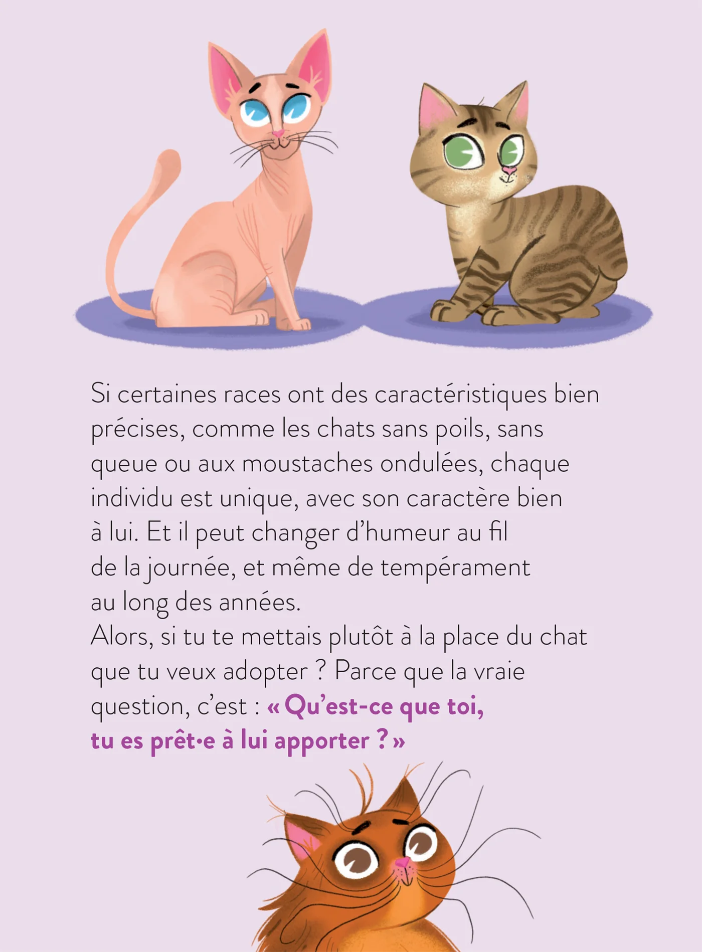 Image du produit 29