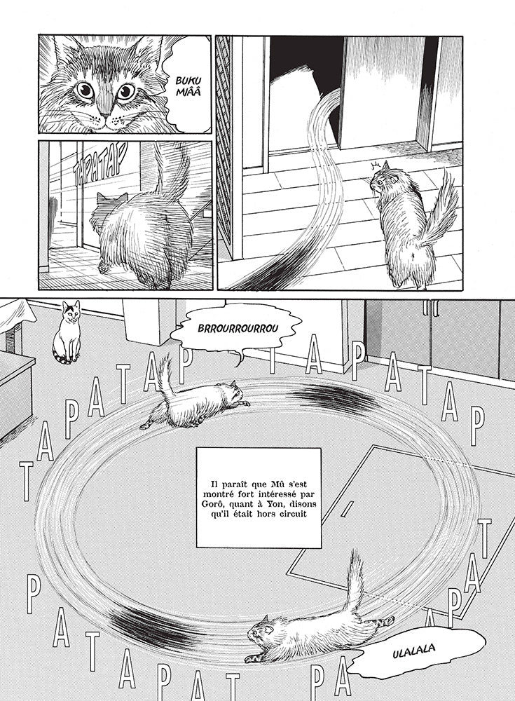 Image du produit 12