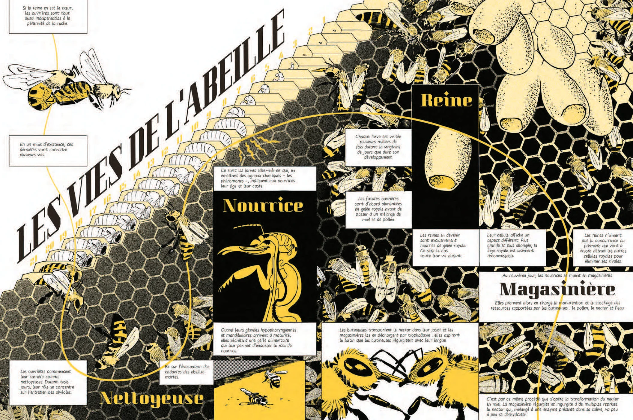 Image du produit 13