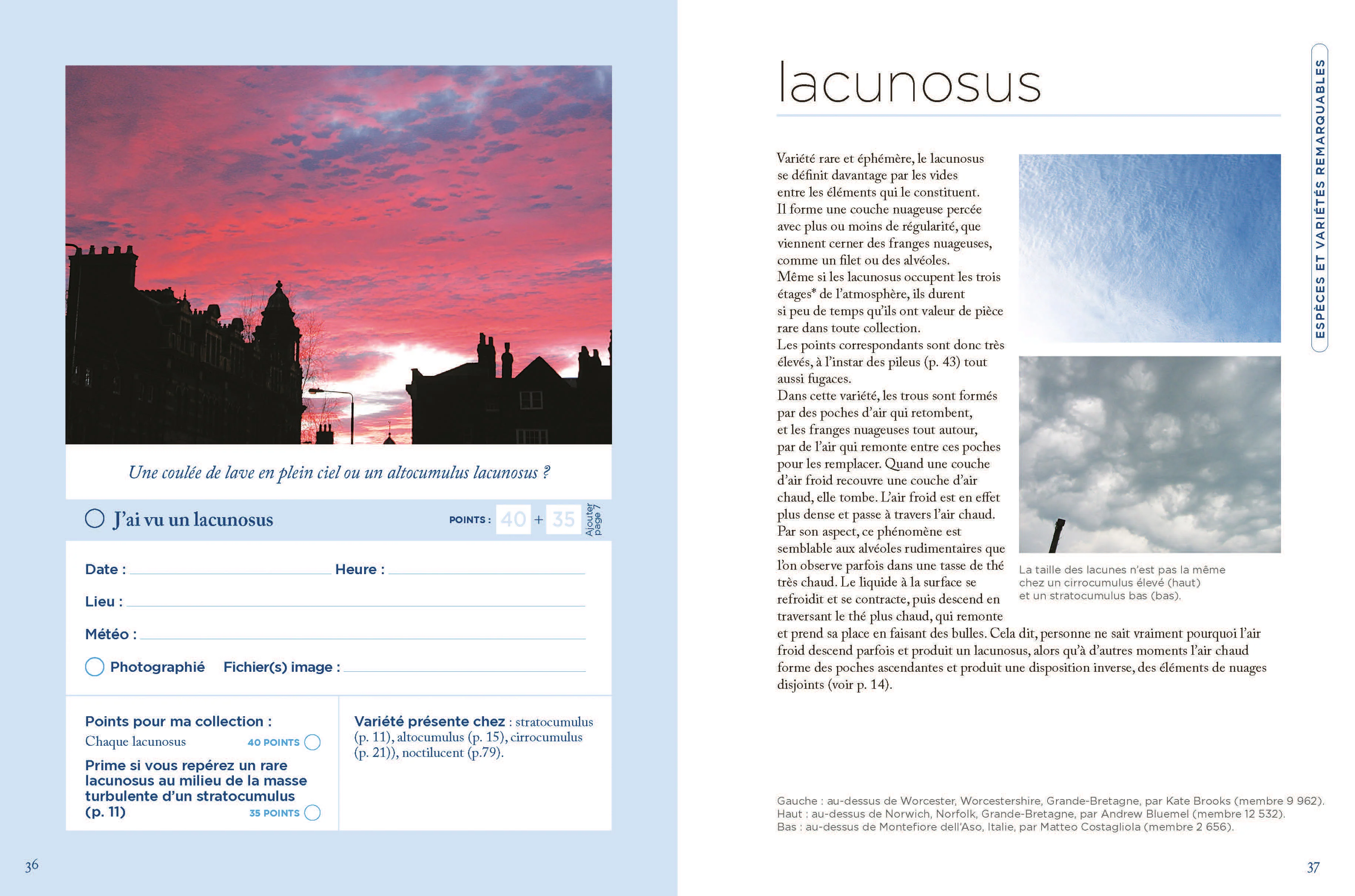 Image du produit 13