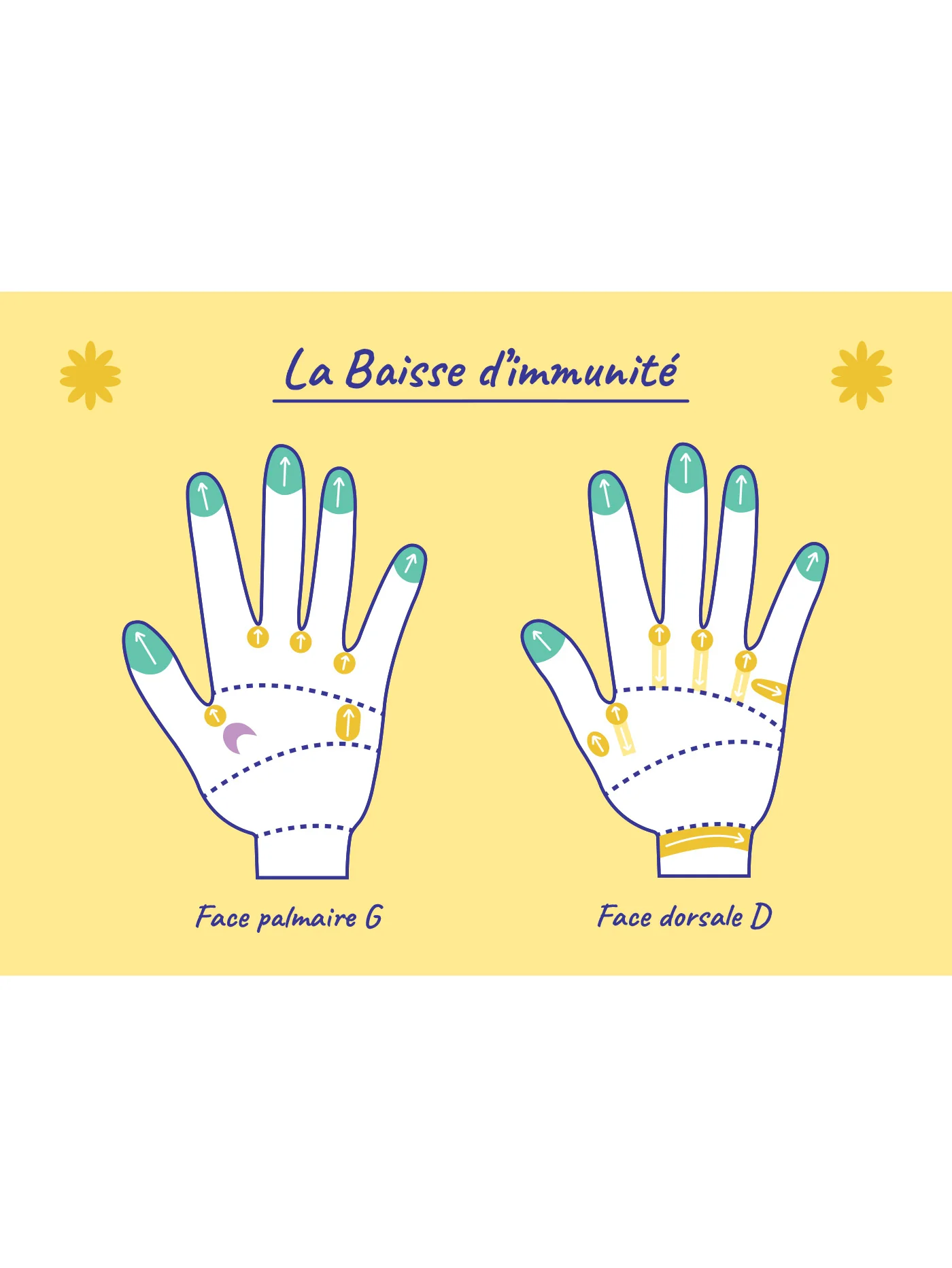 Image du produit 24