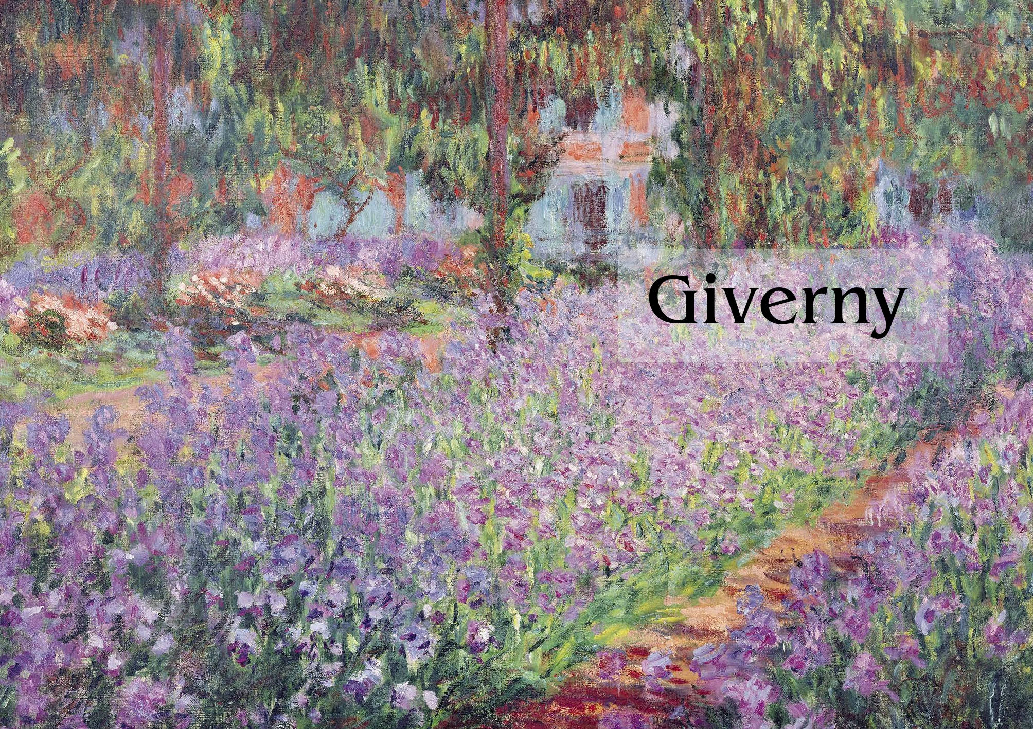 Image du produit 19