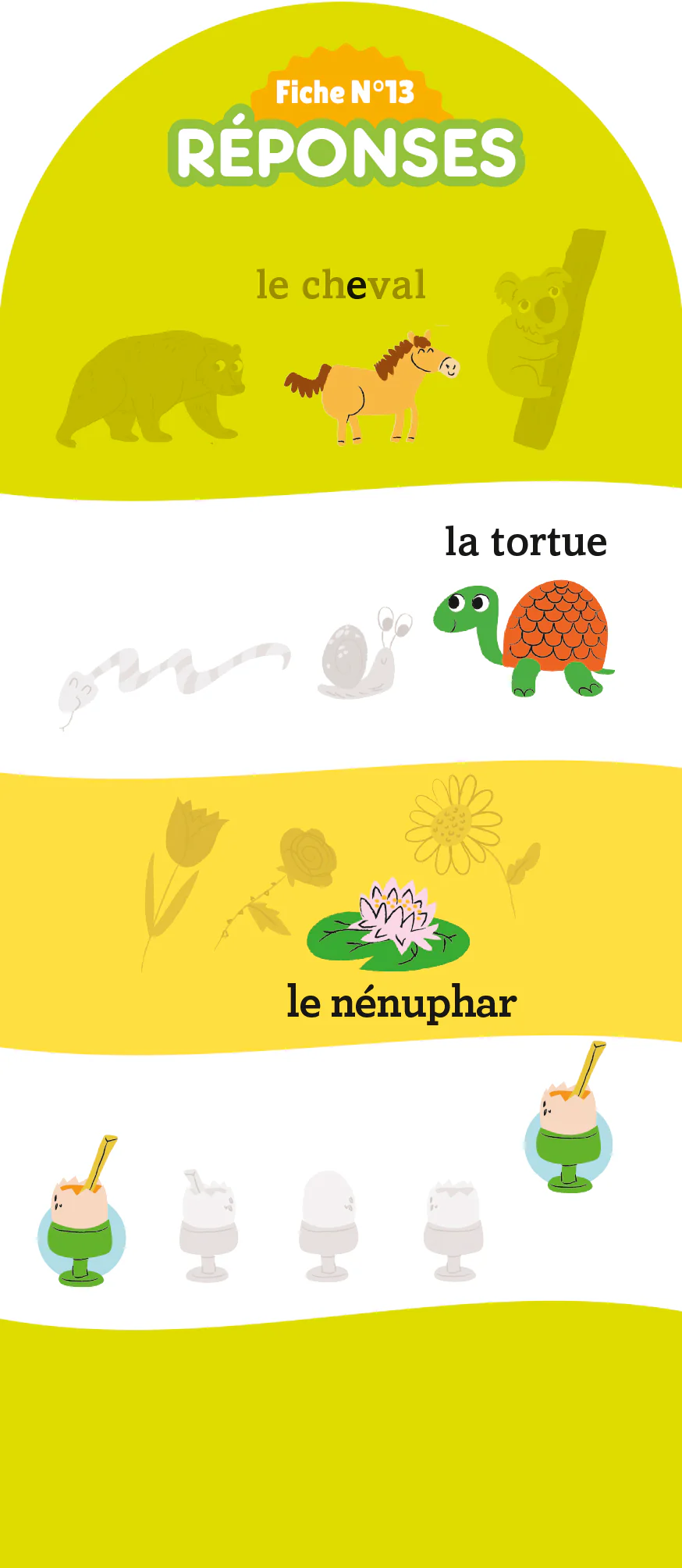 Image du produit 16