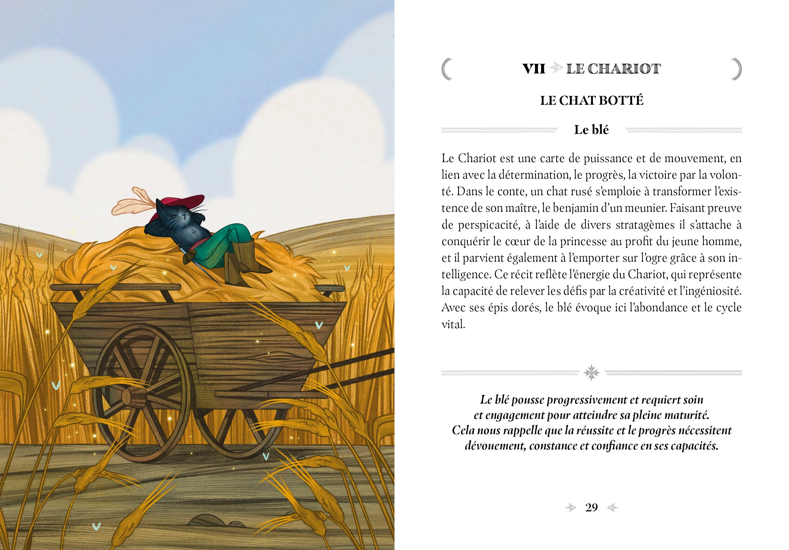 Image du produit 68