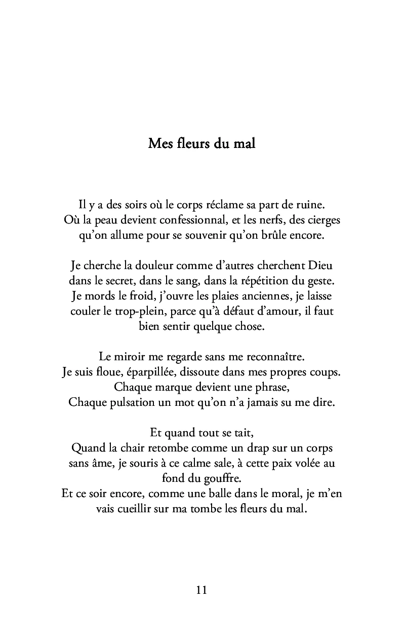 Image du produit 14