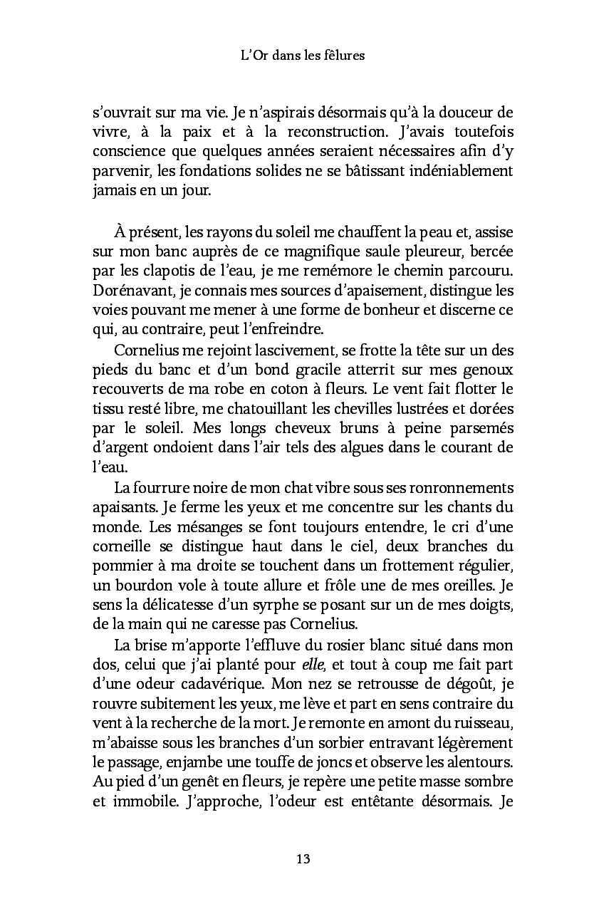Image du produit 21