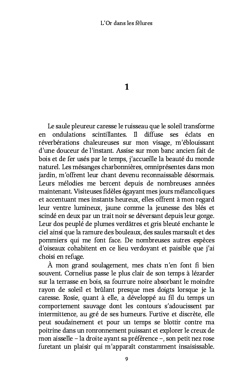 Image du produit 28