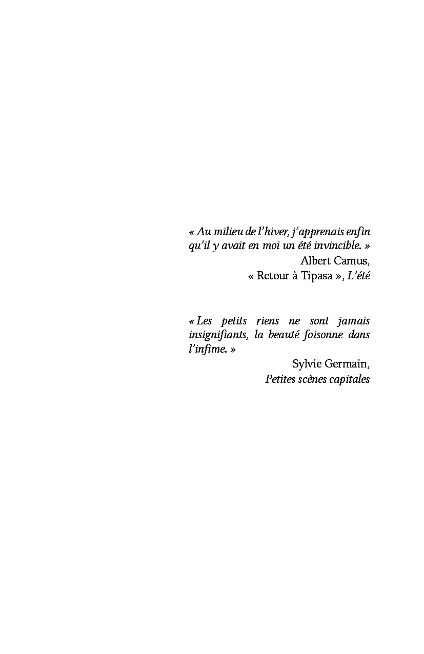 Image du produit 37