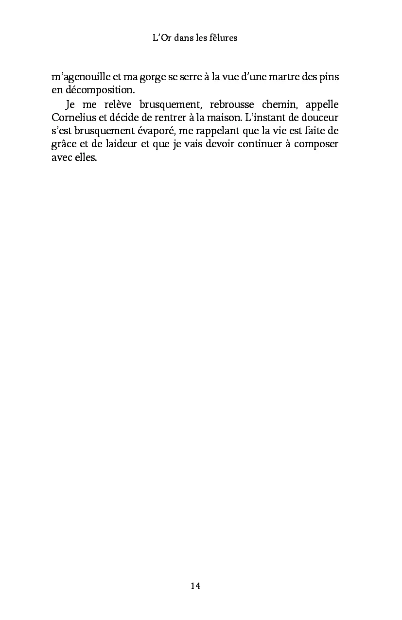 Image du produit 44