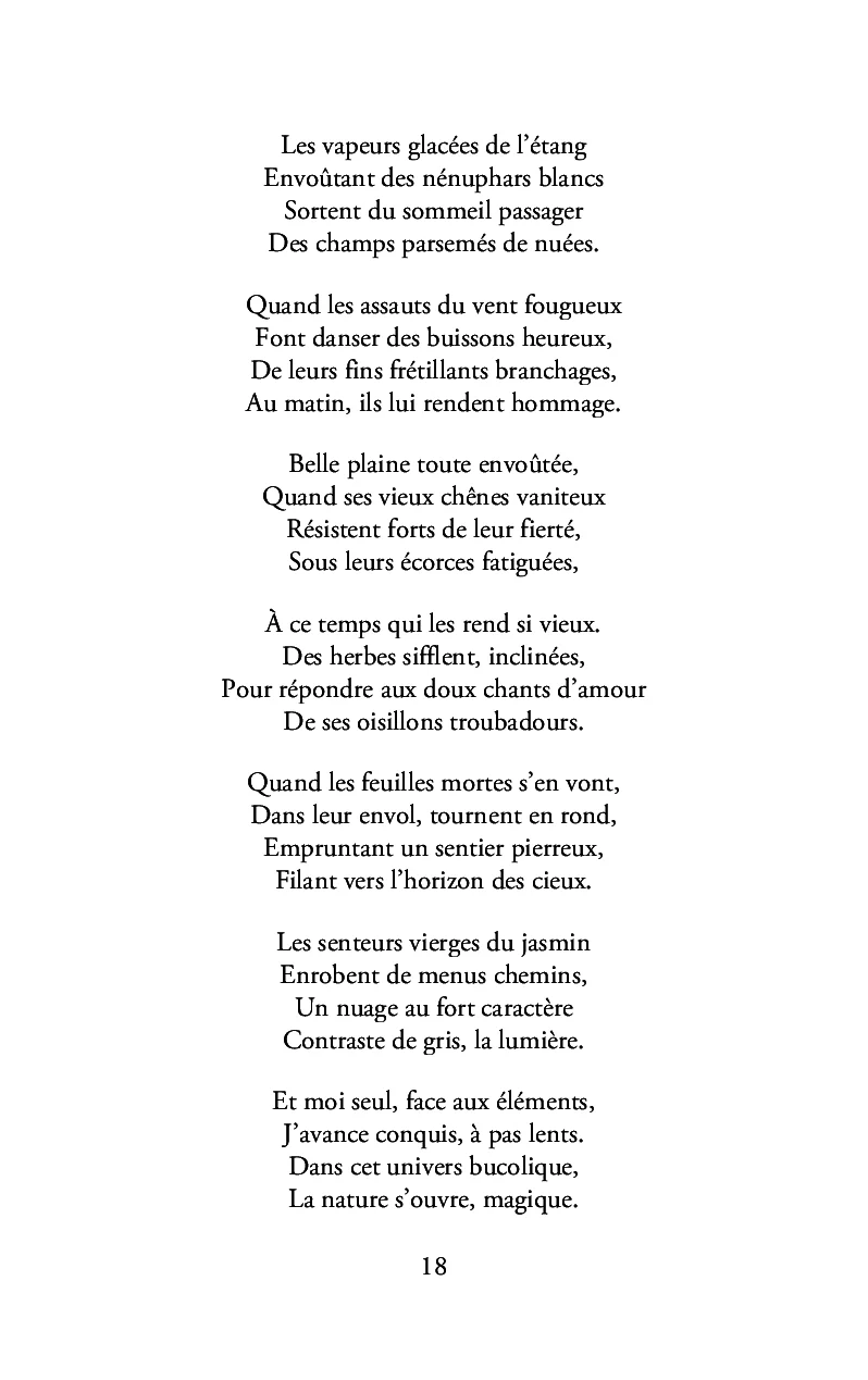 Image du produit 41
