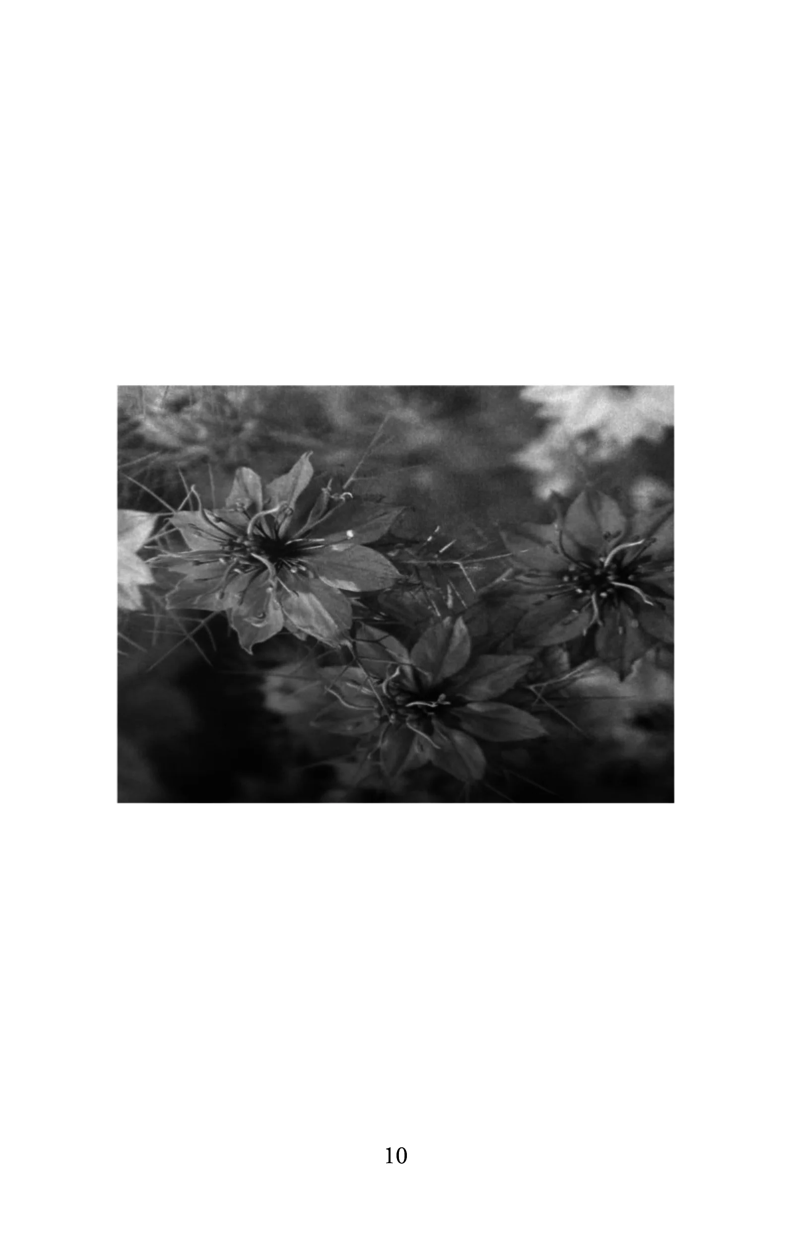 Image du produit 13